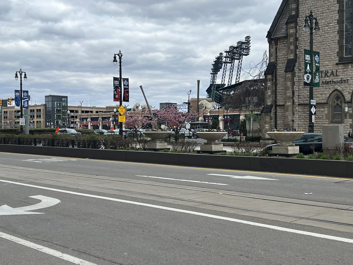 This should be what the <a href="/GCRTA/">Greater Cleveland RTA</a> Health-line medians look like… nicely landscaped and protected, not just dirt and seasonal flowers… can we make this happen?📍 Woodward Ave. Detroit