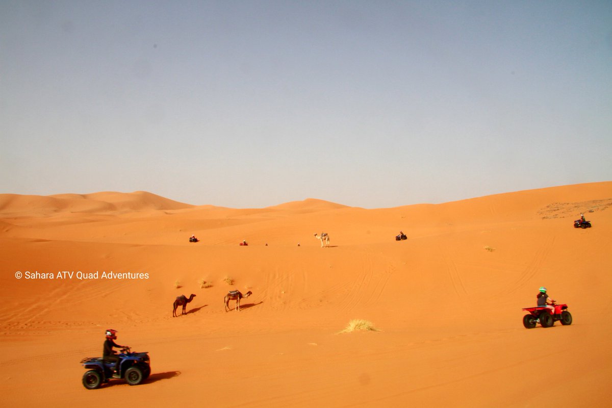 SaharaAtvQuadAd's tweet photo. Another epic day with the @Moroccodesertchallenge team! 
Dusty trails, endless dunes, and unforgettable moments await as we ride alongside @SaharaAtvQuadAd

#saharaatvquadadventures
#moroccodesertchallenge #morocco #moroccotravel #sahara #desertatv #quadbike #merzouga #adventures https://t.co/AjBmbPt8Tm