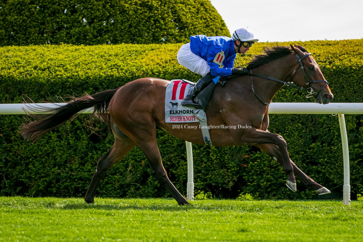 casey_laughter's tweet photo. #SilverKnott and #FlavienPrat win the G2 @VisitLEX Elkhorn at @keenelandracing for trainer #CharlesAppleby and owner @godolphin.
@racing_dudes https://t.co/1JPDfeC6Uk