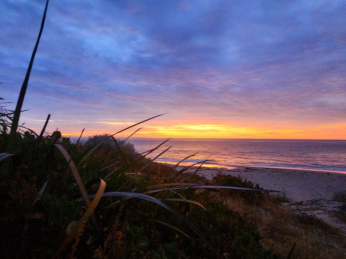 JasonNanks's tweet image. West Coast Sunsets