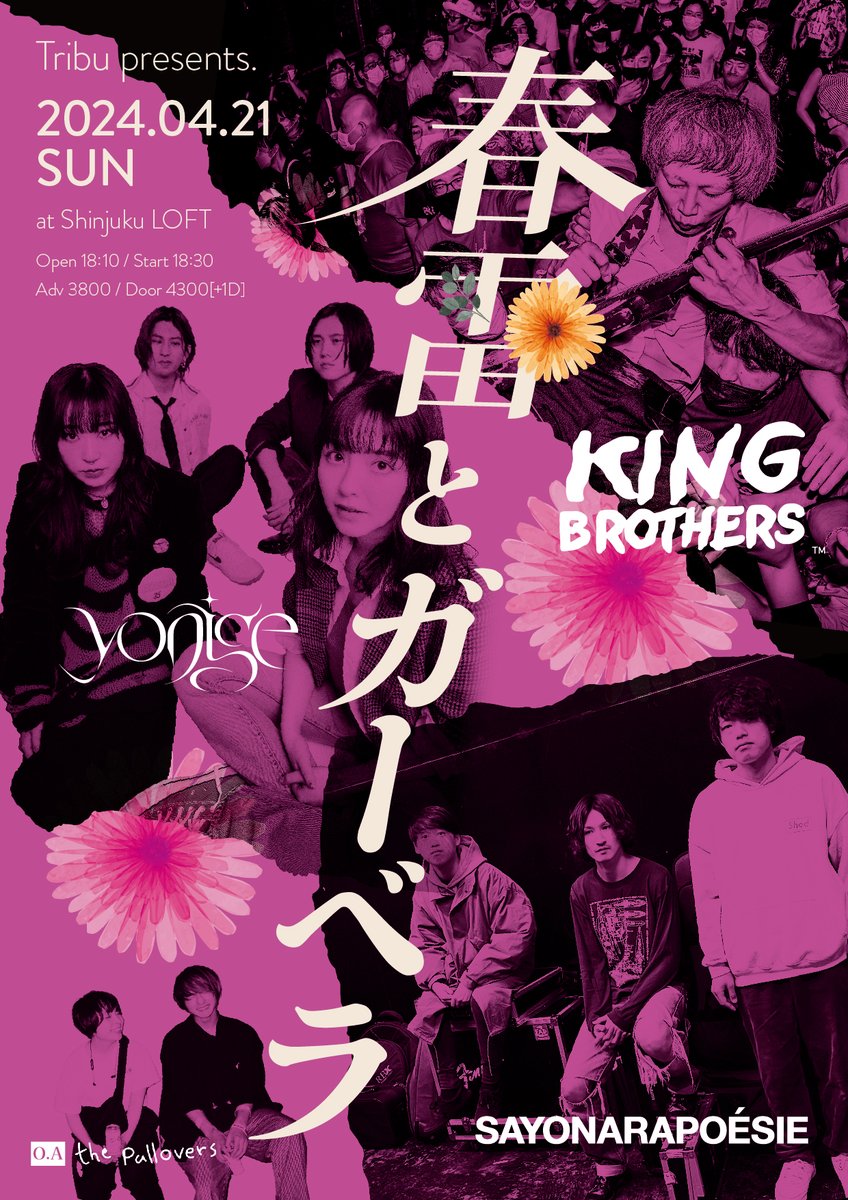 tribu_syo's tweet photo. 【#本日】
4/21(日)新宿LOFT
『Tribu pre.春雷とガーベラ』
開場/開演：18:10/18:30
当日：4,300円(+1D)
出演
18:30-18:50/the pullovers(O.A)
19:05-19:50/KING BROTHERS
20:05-20:50/さよならポエジー
21:05-21:50/yonige
17時まで主催にて取り置きも行っています🔥
ご希望の方はDMにて✨ https://t.co/dch2jKI7qk