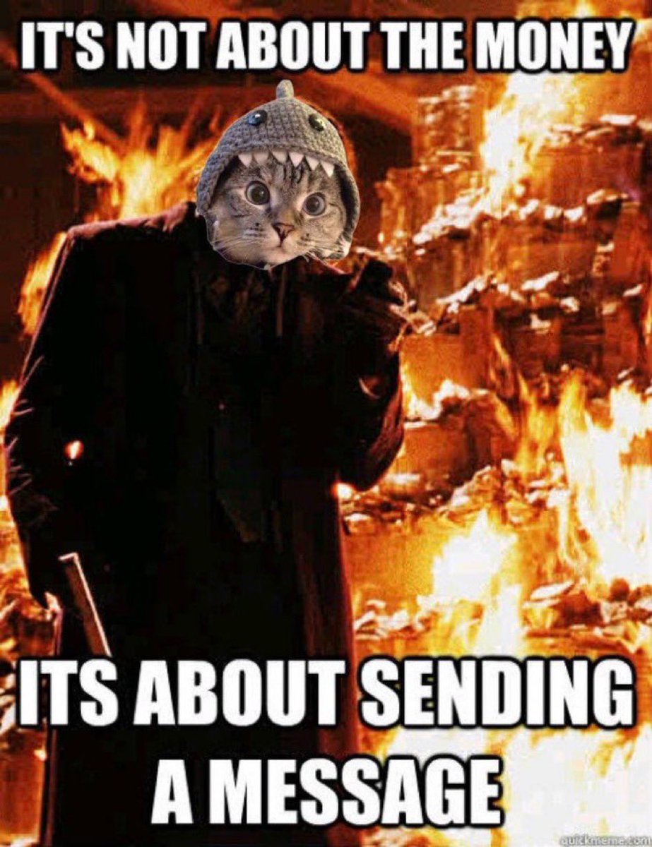 achilleswifhat's tweet photo. Cat about to show the market that it’s still a mf shark 

$SC https://t.co/AvAXur7Se0