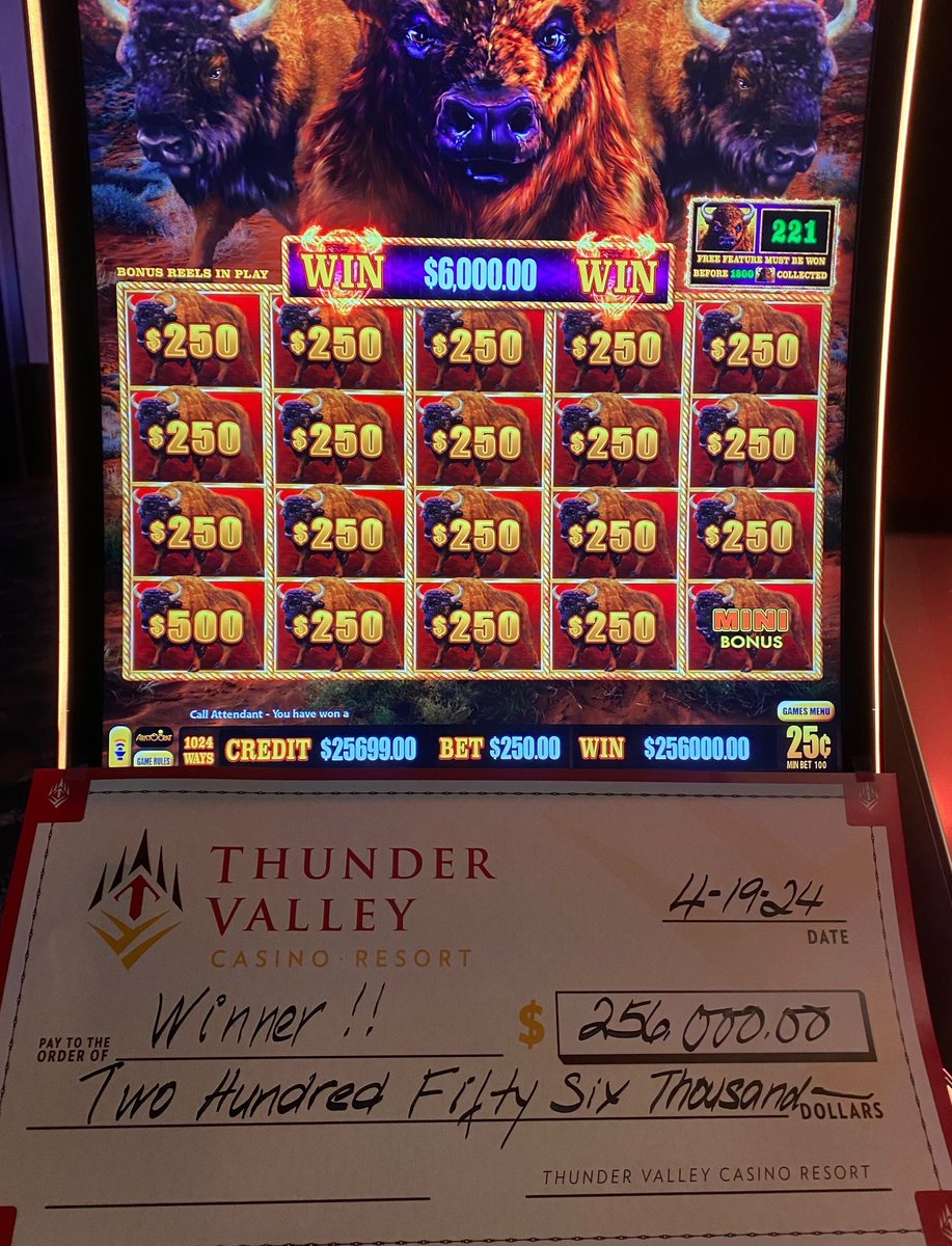 One lucky guest hit it BIG last night on Buffalo Link! 🎉🎰💰🐃