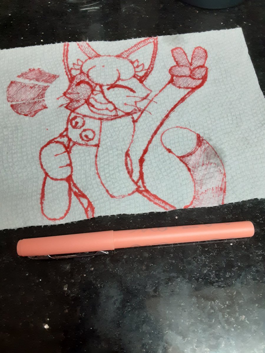Ink pen on slightly used paper towel