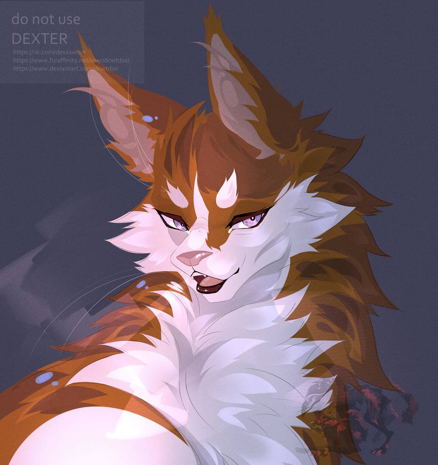 dcwtdos's tweet photo. commission
#cat #Commission  #digitalartwork  #catswarriors #catwarrior  #2024digitalart https://t.co/y9YcrydnJ2