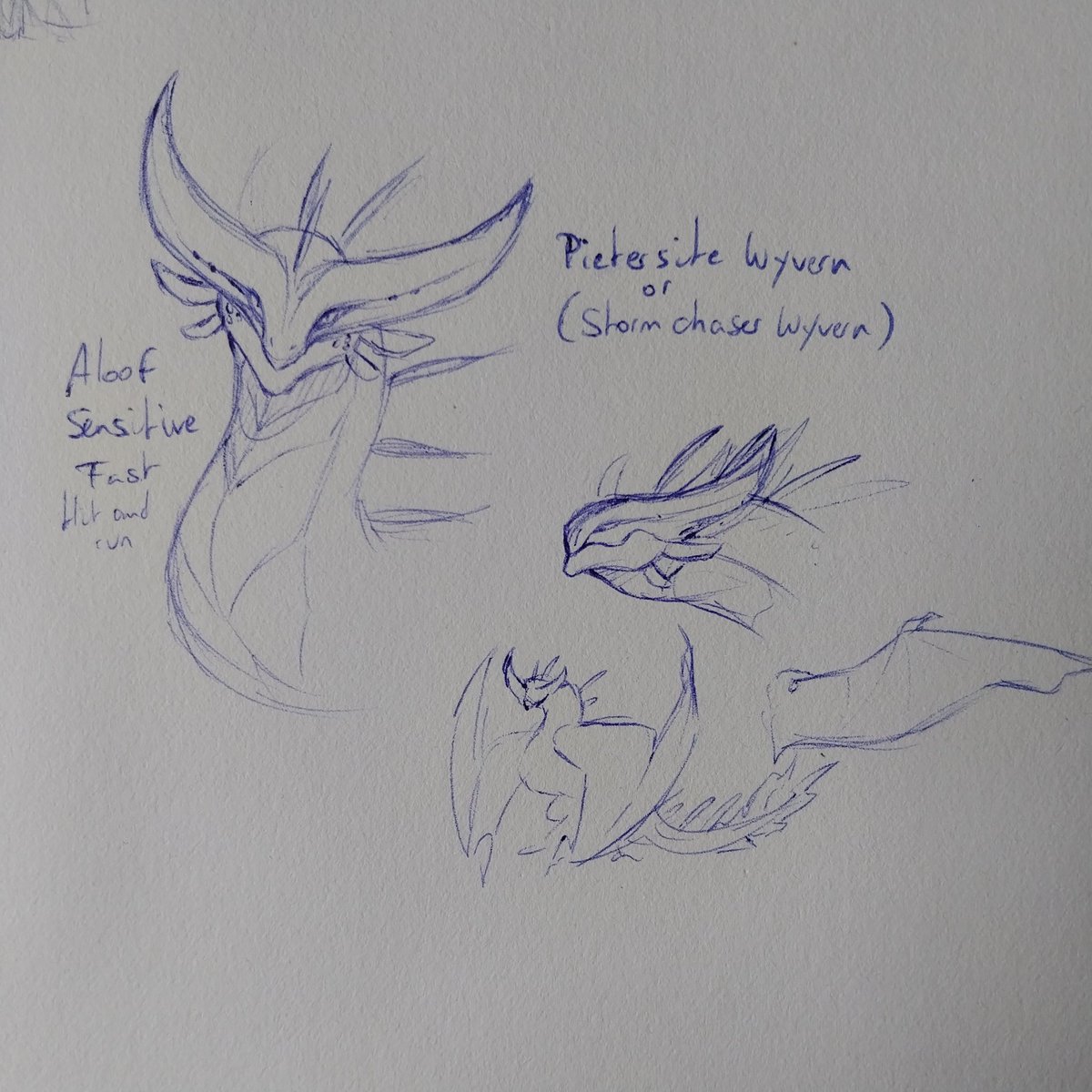 Pietersite Wyvern concept art

Also known as Stormchaser Wyverns, they are the most prideful and sensitive of wyverns. It's theorized their emotional sensitivity is tied to their sensitivity to electrical fields.