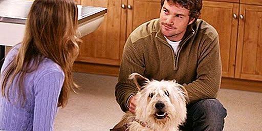 greyysdream's tweet photo. TOP MORTES MAIS TRISTES DE GREY’S ANATOMY

10º lugar - Doc https://t.co/VhFihPkQcG