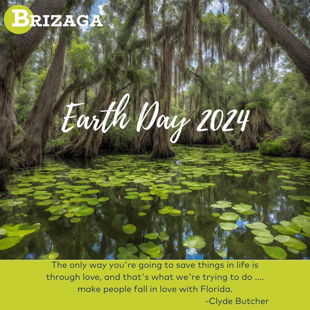 🌍 Happy Earth Day 2024! 🌿 Let's celebrate our beautiful planet today and every day. Remember, even the smallest actions can make a big difference. 🌱 #EarthDay #SaveThePlanet #Brizaga
