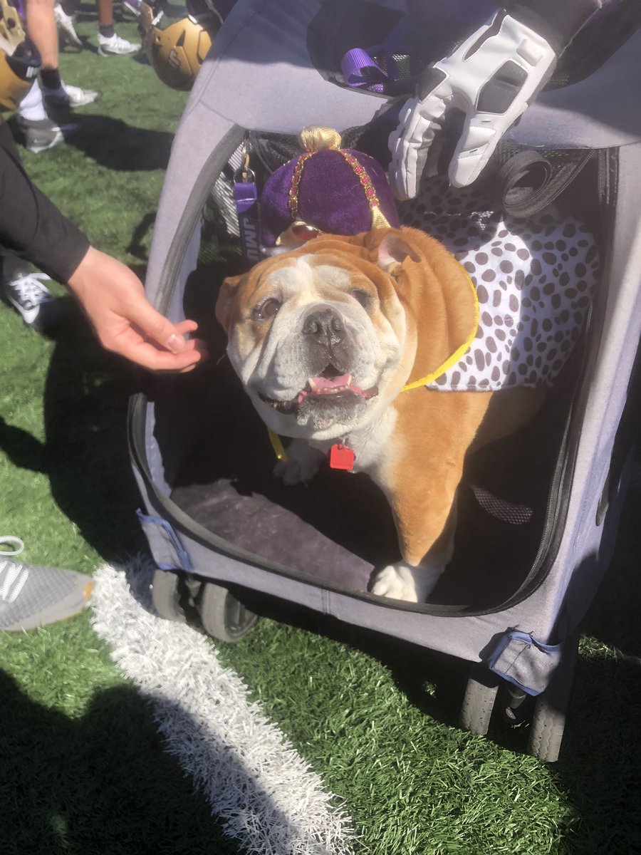 Best shot of the day from the spring game! Hanging out with the Duke dawg!!! #JMU