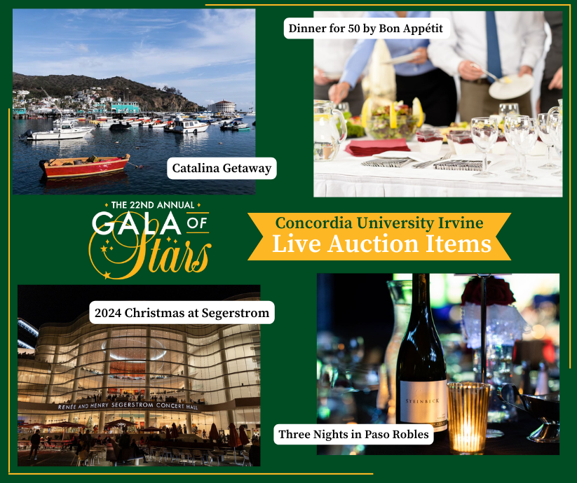 The 22nd Annual Gala of Stars is 1️⃣ week from today! To celebrate, check out this preview of some of the live auction items that attendees will have the opportunity to bid on live at the gala. Secure your seat or support Fund-A-Need here: bit.ly/4anYAHD