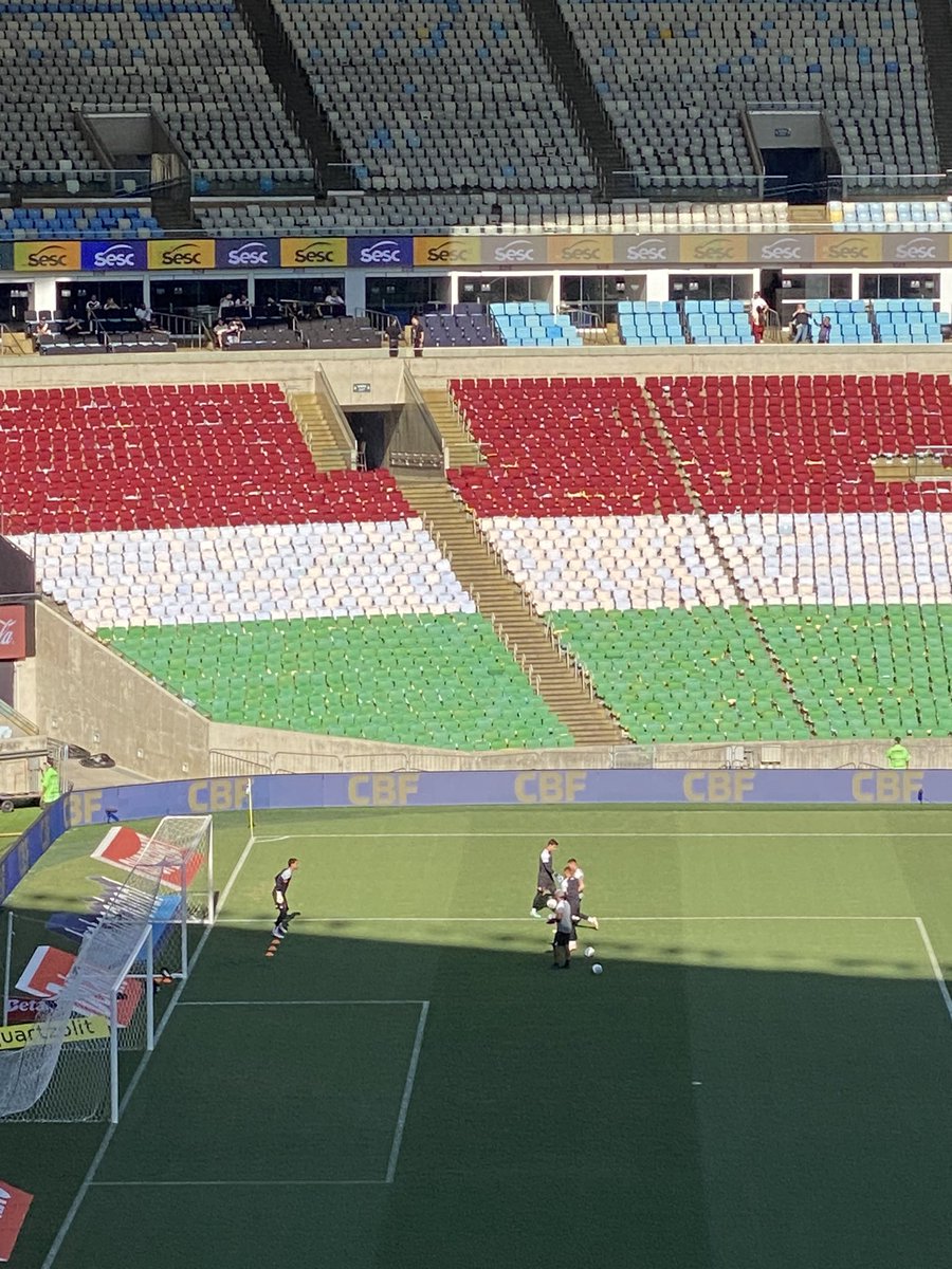 Daniel_Carcau's tweet photo. @FluminenseFC O mosaico ficou lindo https://t.co/mqKjEpLhPr