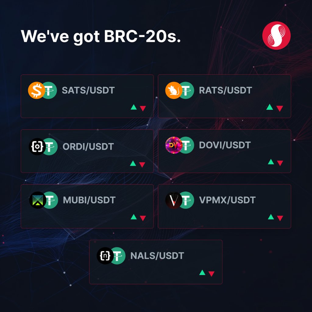 SUPRA_Labs's tweet photo. We're bullish on #Bitcoin BRC-20s. 

So we launched BRC-20 price pairs. Could Runes be listed next? 🤔 

🤝 @Multibit_Bridge + @Dovi_L2 + @VMPX_brc20 + @Bitrats_org + @satsvipordinal + @nalsbrc20 https://t.co/IefooiwVnY