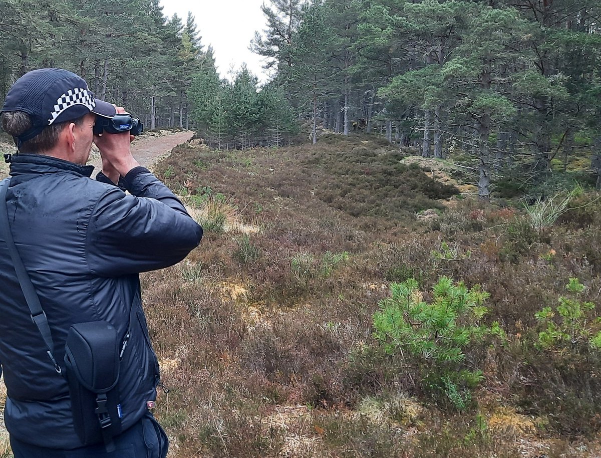 0430hrs start  in strathspey today with rangers doing my bit for capercaille and the #LekItBe campaign. Birders are still pushing the limits! These birds need our help so just #LekItBe
#Cairngorms #cairngormsnationalpark
#scottishbirding #rspb_love_nature
lekitbe.scot