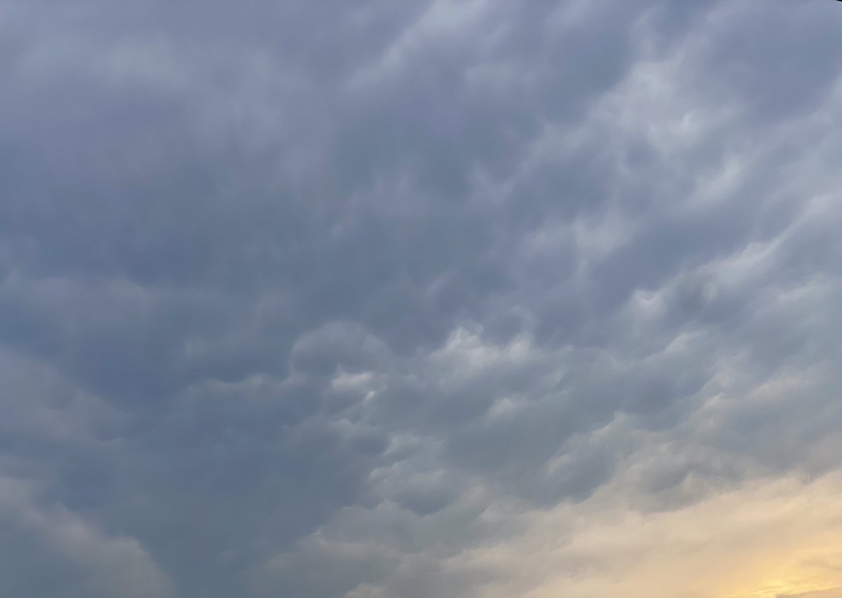 AdLibs4Hire's tweet image. Mammatus? @NWSWilmingtonNC @medwick @LeeHaywoodWX @helenholt #cloudnerd⛈️🤓