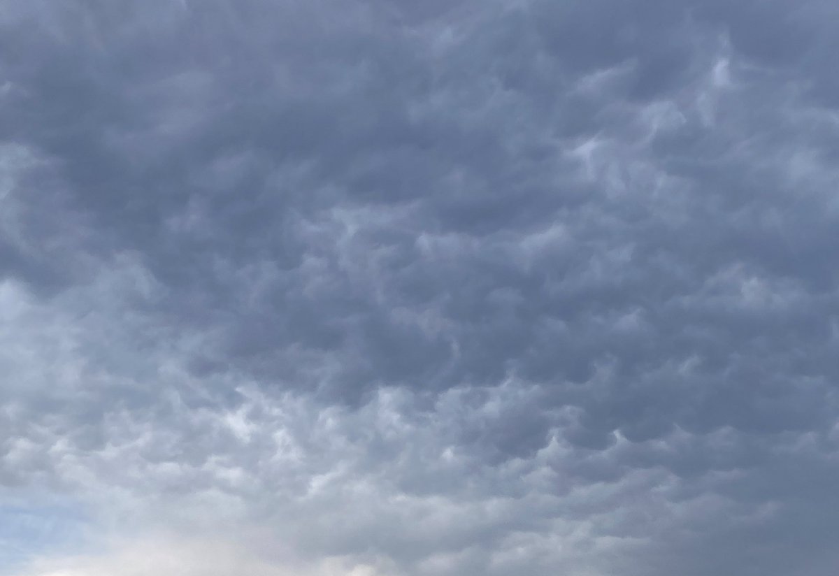 AdLibs4Hire's tweet image. Mammatus? @NWSWilmingtonNC @medwick @LeeHaywoodWX @helenholt #cloudnerd⛈️🤓