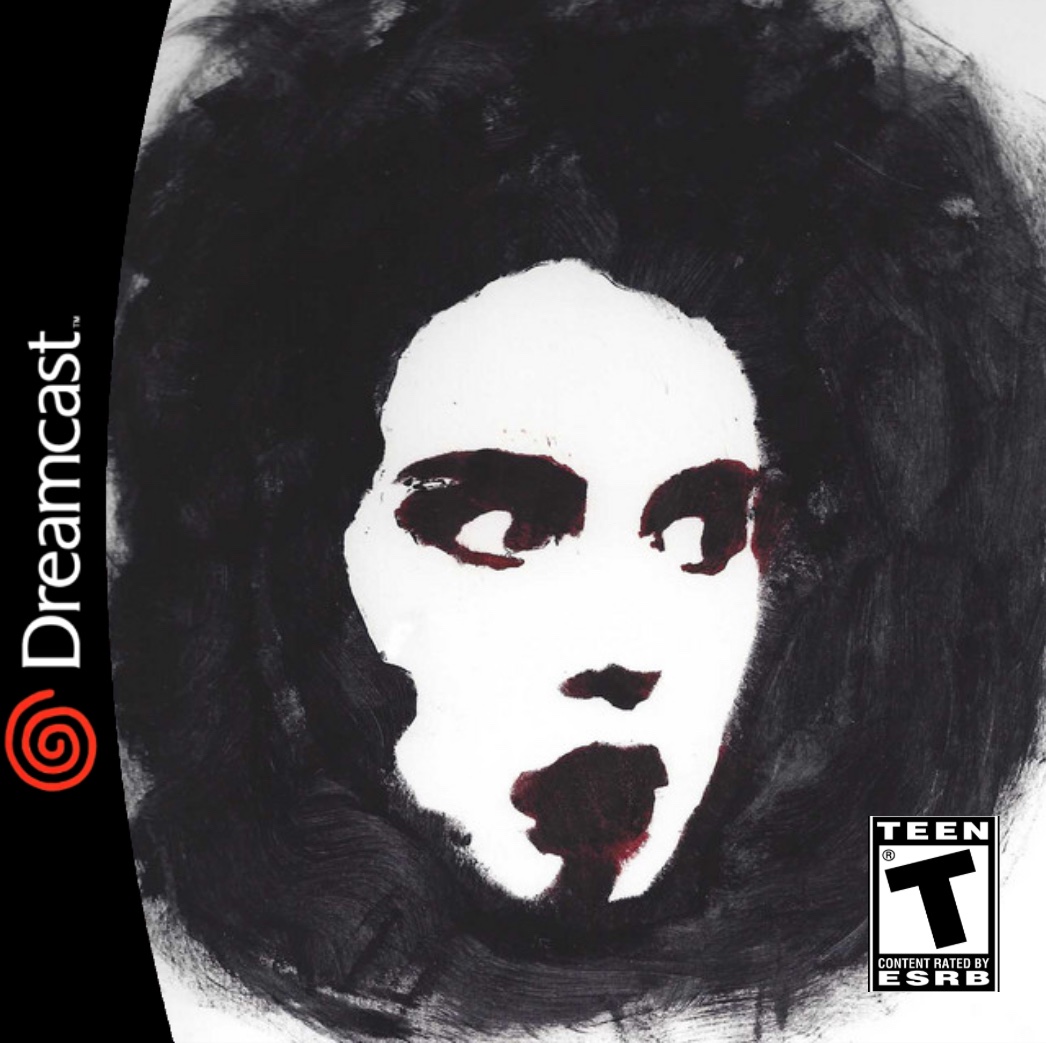 copped a new Dreamcast game, the cover seems interesting so I bought it