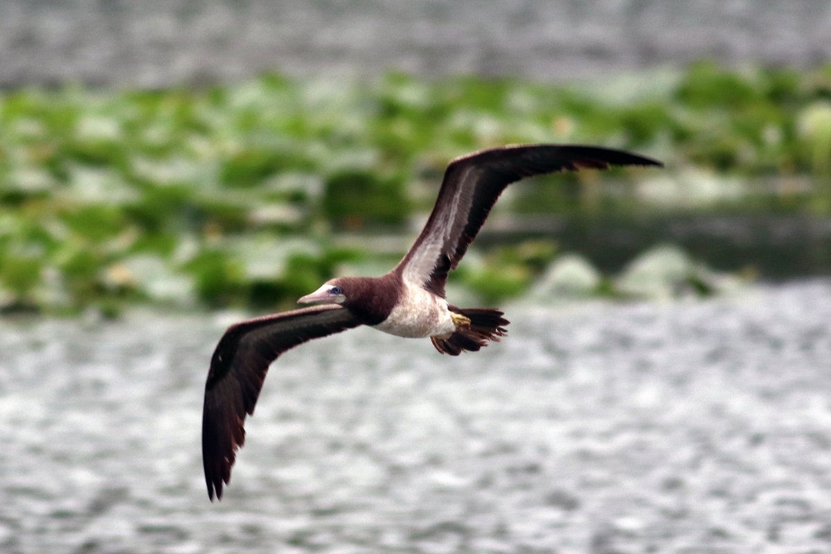 Ben Sandifer tweet media