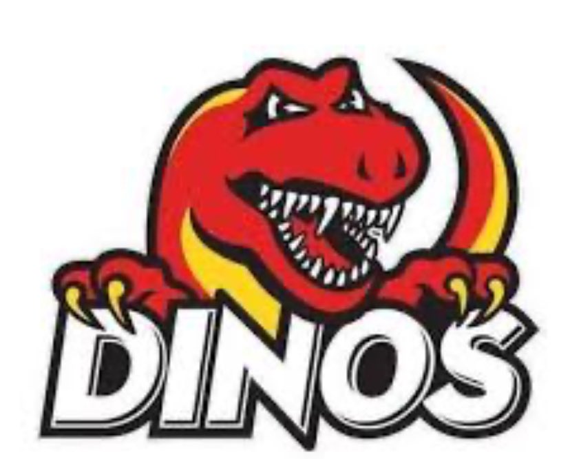 EthanMaroni7's tweet photo. Thank you @Coach_Mollard for the camp invitation to the Dino’s Prospect Camp https://t.co/0KRt2mjA4M
