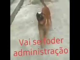 csasigma's tweet image. ADM acordou agora
0x0