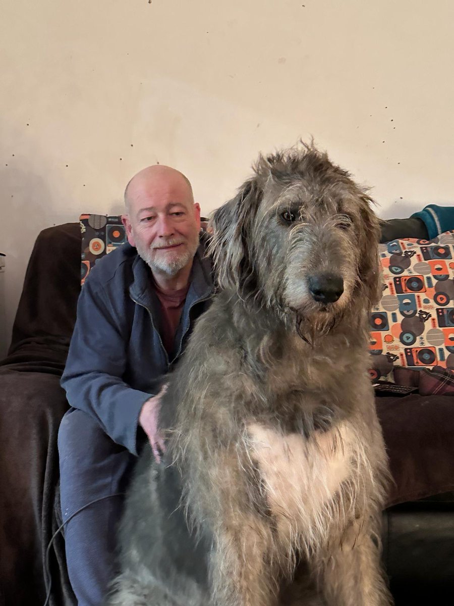Roger the Wolfhound agrees 🇺🇦
