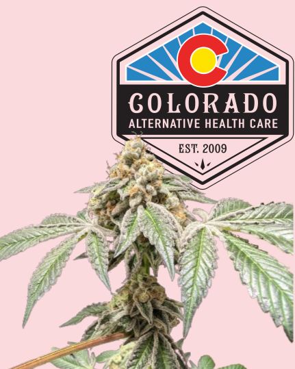 We've got the special treats that'll elevate your day, but whether you're celebrating or just enjoying the day, make sure to keep it chill and safe & partake responsibly!
⚠️CO MMJ Card Req
#ColoradoAlternative #BlazeItUp #420Friendly #CannabisCommunity #CannabisCulture #HighLife