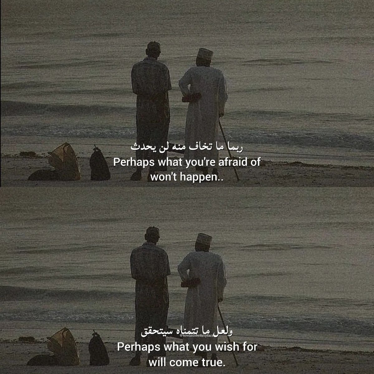 Al__Quraan's tweet image. Perhaps