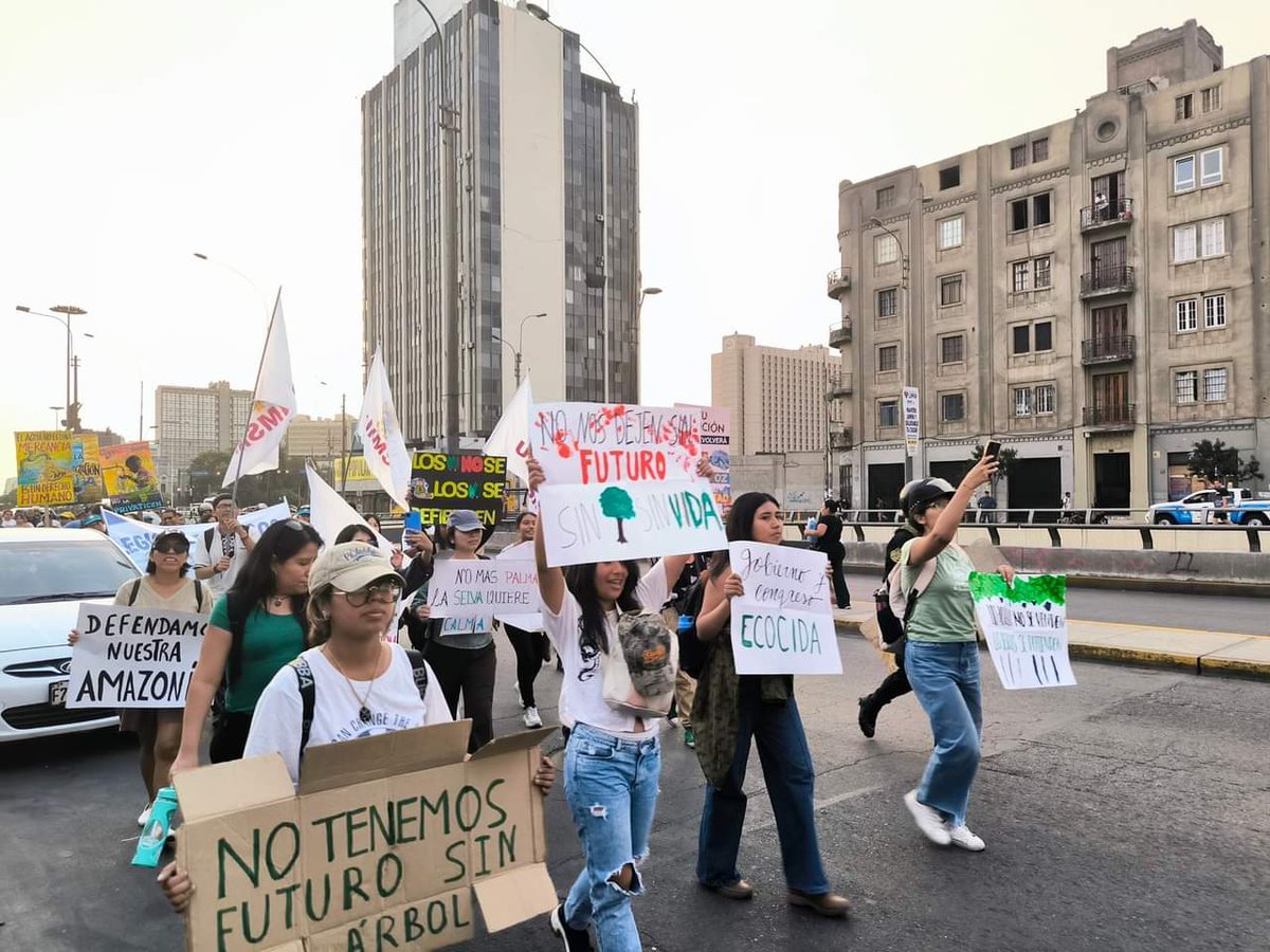 vigilanteamazon's tweet photo. #NoALaLeyAntiforestal

La Movilización se dirige hacia la Plaza San Martín en el Centro de Lima. Buscan que el @congresoperu derogue está iniciativa legislativa que complica la situación de las personas defensoras de nuestra Amazonía. https://t.co/fmhzrqNl0l
