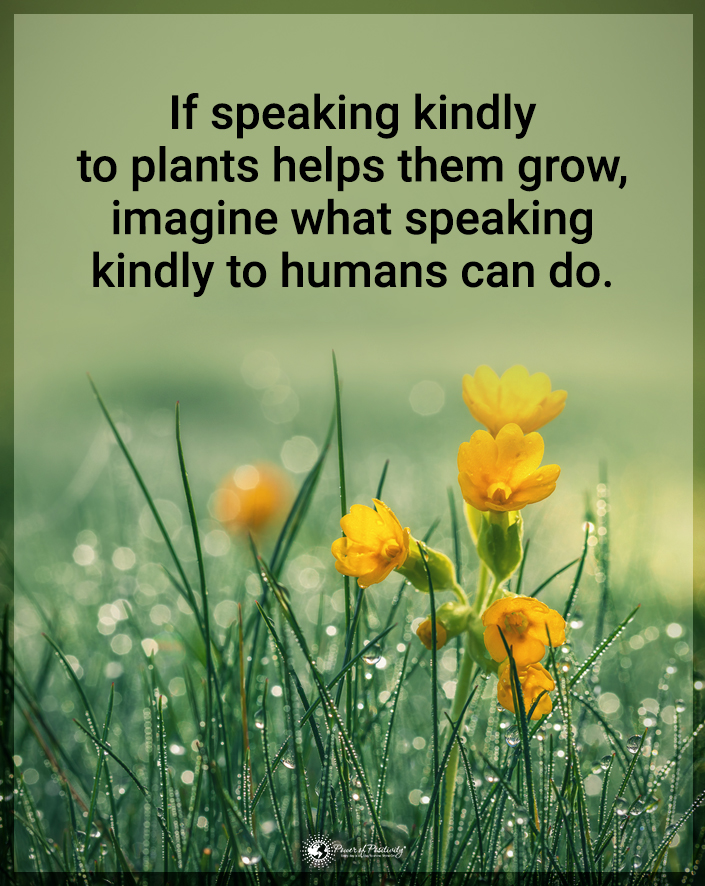 “If speaking kindly to plants helps them grow...'
