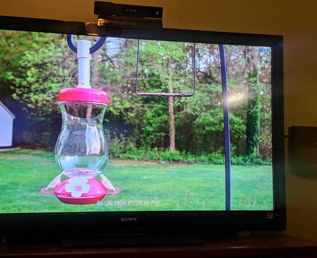 PG upgraded the Hummingbird camera to 4K 🙌🏻
Hope to see them this week!
#BirdWatcher