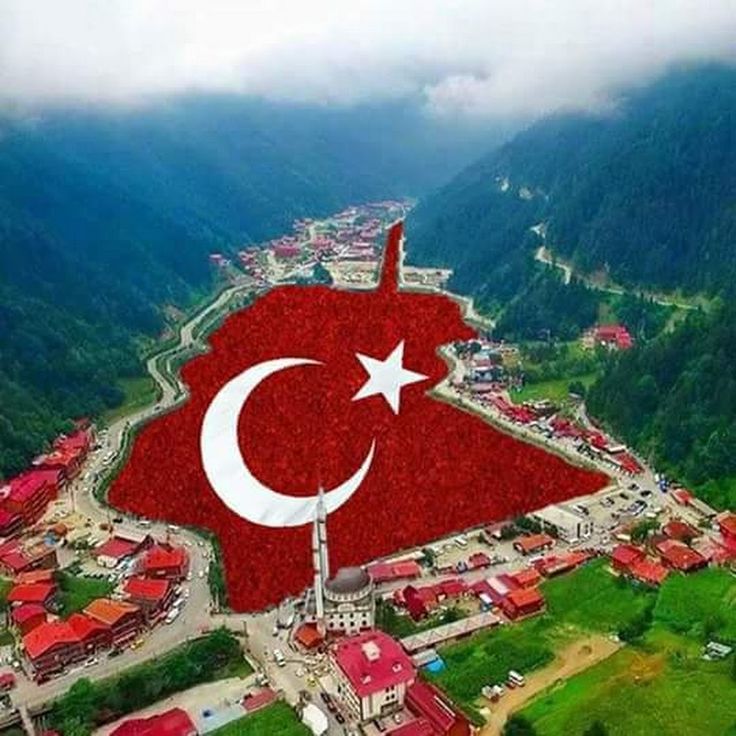 Türk Bayrağı Cumhurbaşkanı Erdoğan Recep Tayyip Erdoğan