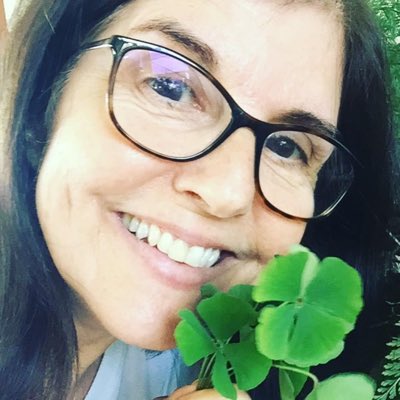 amelia lalanda tweet media