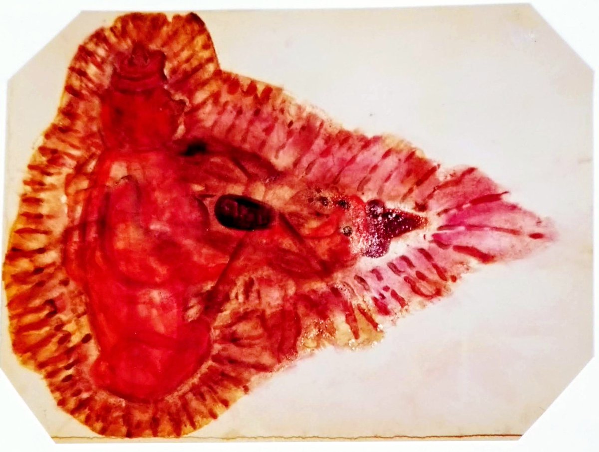 XuscaSoleNY's tweet photo. "Honey Puppet ". #Painting.
#Mixmedium on #Paper.
#Series #Retrospective- 91.
#Auraism (c) #XSolé https://t.co/wGf5yZJGuT