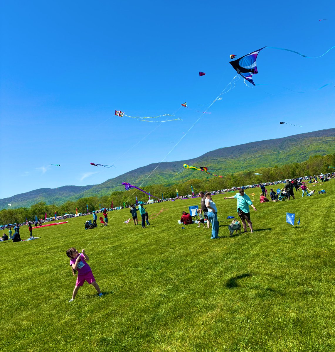 Perfect day for the Blue Ridge Kite Festival! Thank you to @SheriffOrange’s deputies and @RoanokeCounty Police for making it possible!