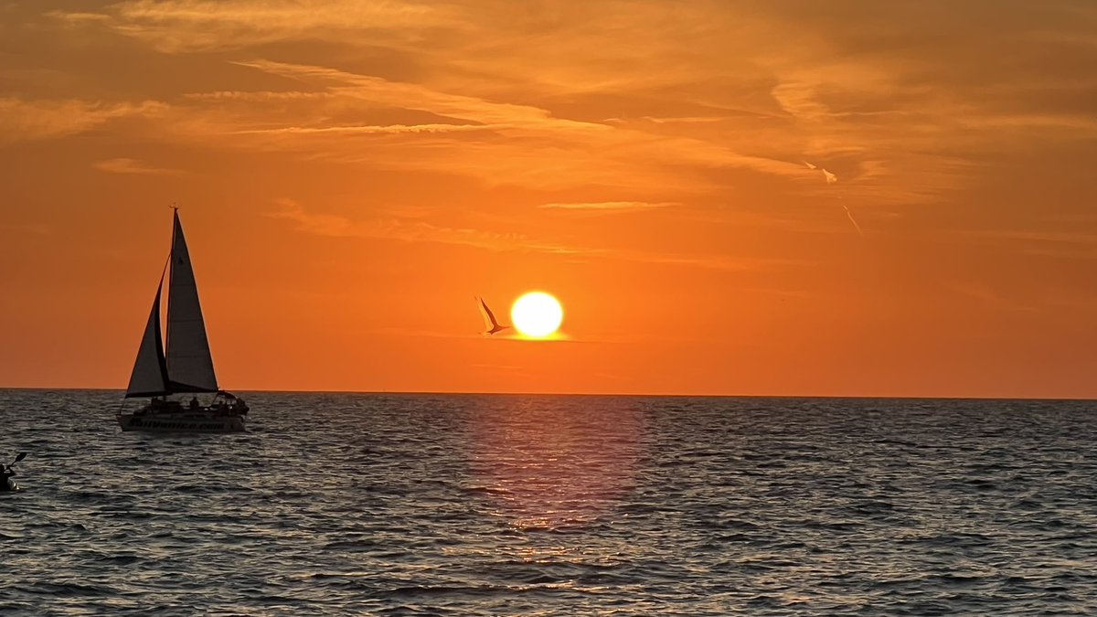 MarioMigliazza's tweet image. #Venice #Beach #justperfect