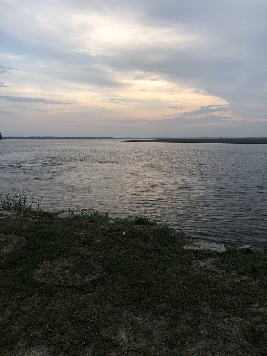 The marshes of Coastal Georgia. Come on