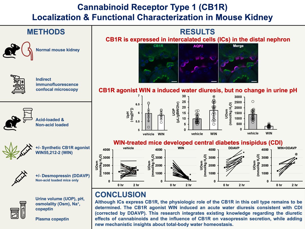Joshua Rein tweet media