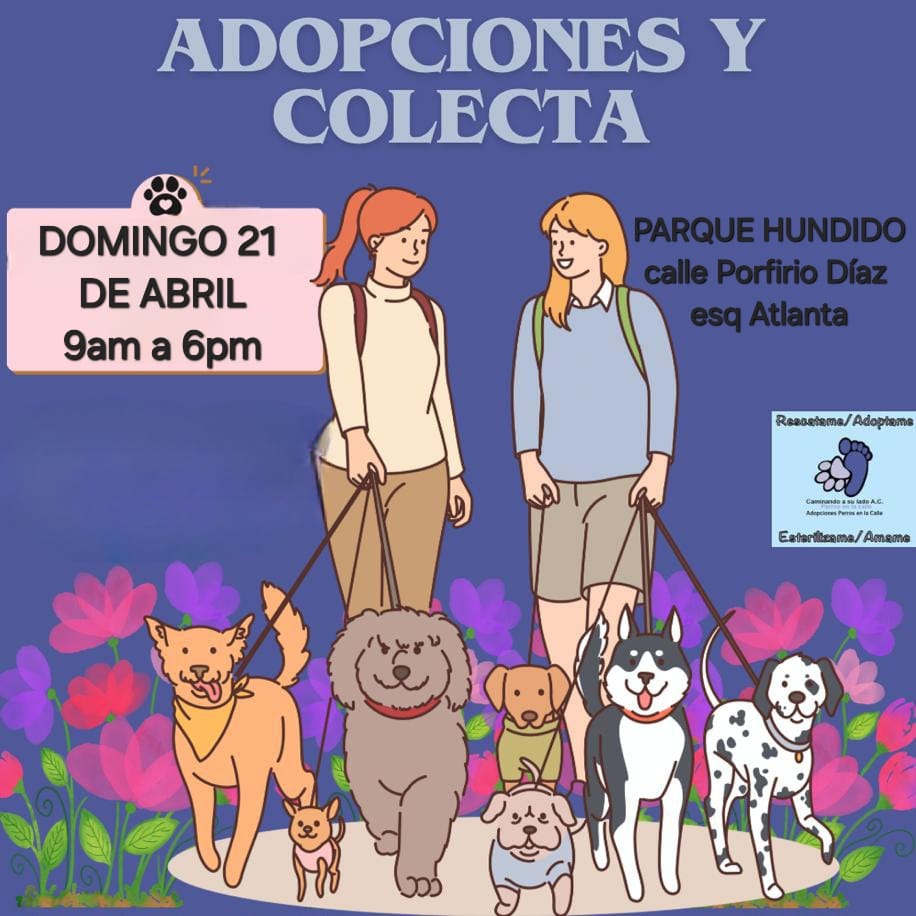 #Deultima Mañana 21 de Abril apoya o adopta 🙏🙏🙏, parque Hundido de 12 a 6 p.m.calle Porfirio Díaz esq Atlanta, agradecemos de antemano, bendiciones 🐾🐾🐾🐾🐾🫂