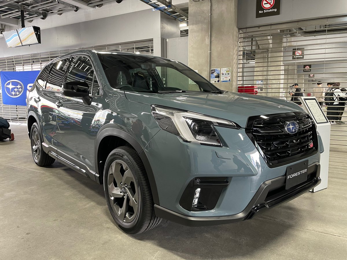 SGP FORESTER TV tweet media