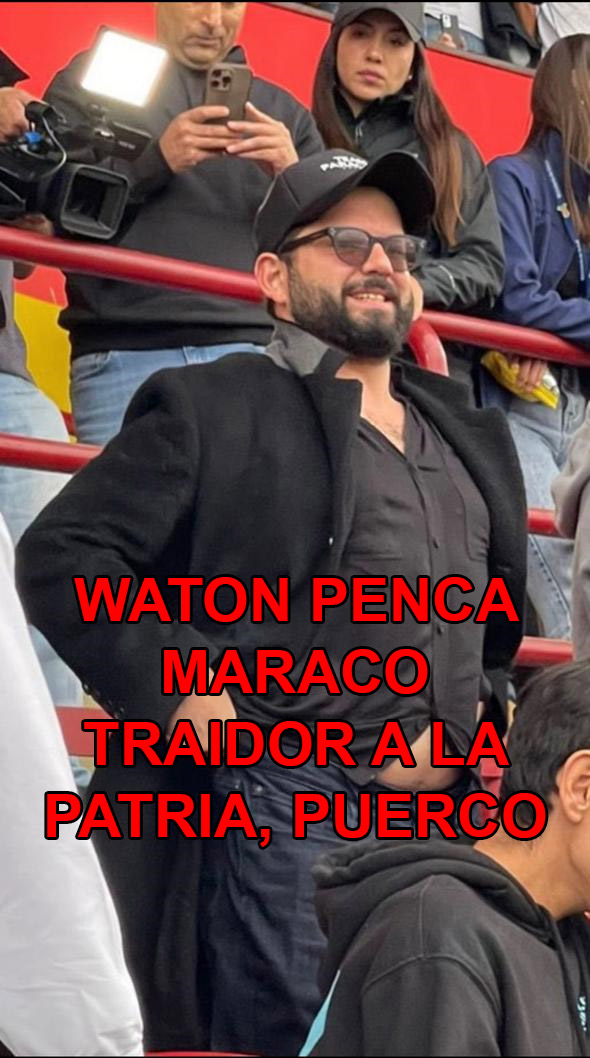 WenaChile tweet media