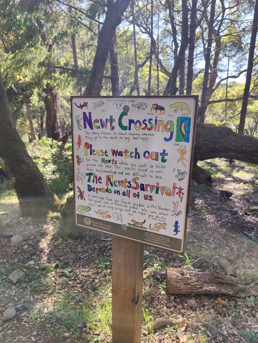 Kat Scott 🐀 tweet media