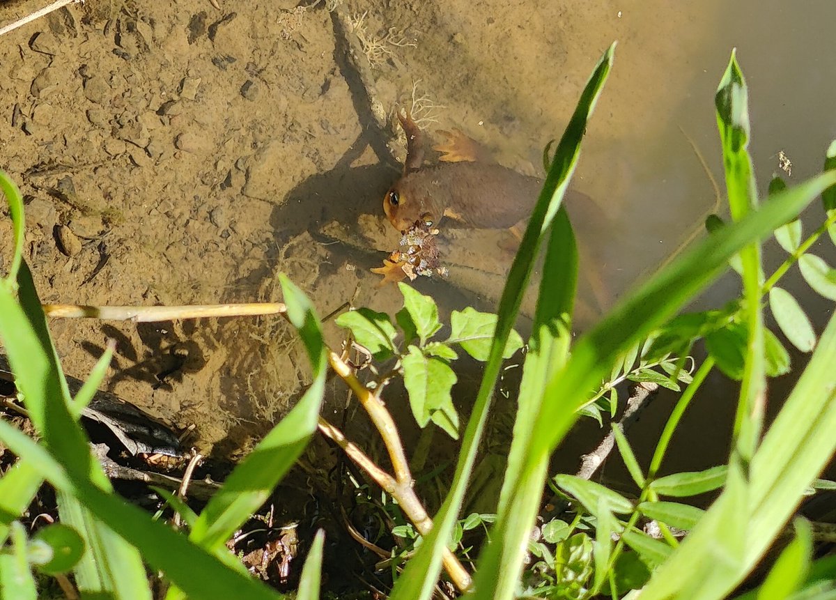 Kat Scott 🐀 tweet media