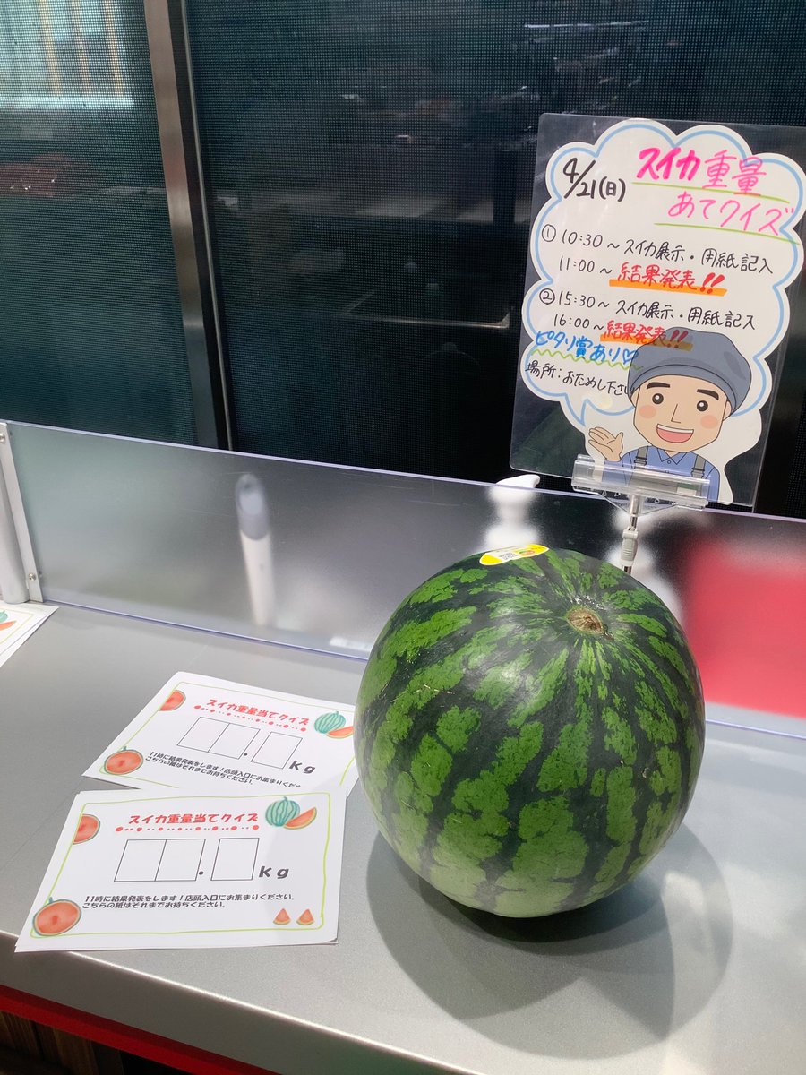 357summit's tweet photo. こんにちは😊

本日、スイカ重量あてクイズを開催✨

午前の重量あては多くのお客様がご参加して下さいました！
午後は15時30分からスイカの展示をします🍉
ぜひ、ご参加ください🤗

#サミットストア西荻窪駅南店
#生きる糧を分かち合うお店 https://t.co/UOqqBfDdo9