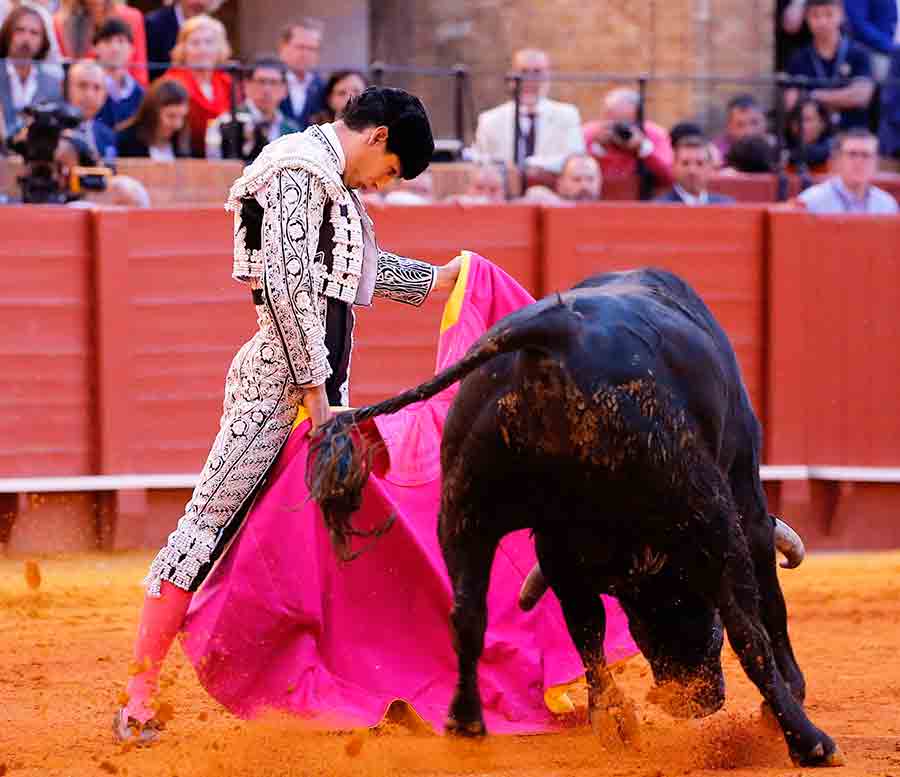 CRÓNICA (13ª Feria Abril).- Roca Rey, Puerta del Príncipe por reglamentación / Por @ManoloVieraN (sevillataurina.com/2024/04/20/roc…) @sevillataurina @Toromedia12 @utaa_sevilla @isanchezmejias @ftorodelidia @OneToroTV @JuntaSevilla @maestranzapages @pabloaguadocom @juanortegapr