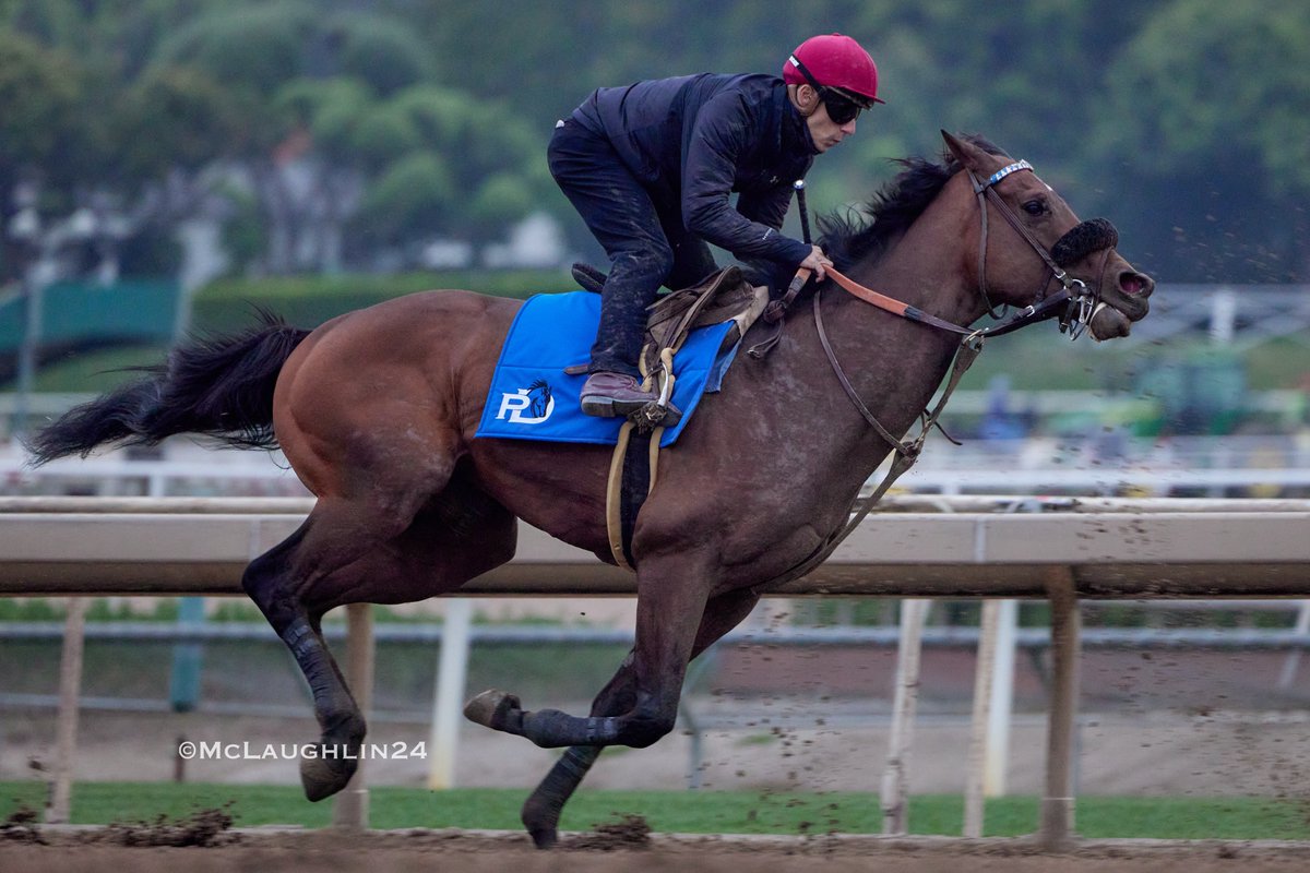 Great looking half in 46.60 this morning for Stronghold under regular jockey Antonio Fresu for trainer Phil D'Amato and owners Sharon and Eric Waller @santaanitapark @PhilDamato11 @Antonio1Fresu