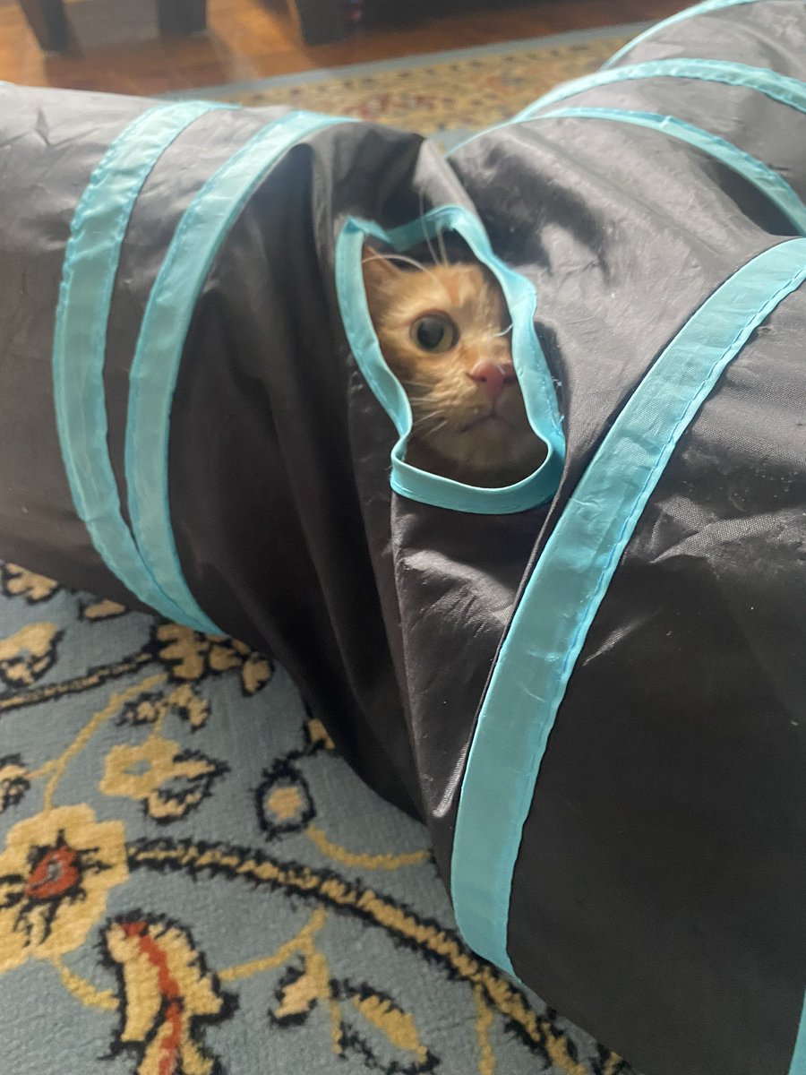 natsu has been silly today, captured by <a href="/eleanorhiltyart/">eleanor</a>