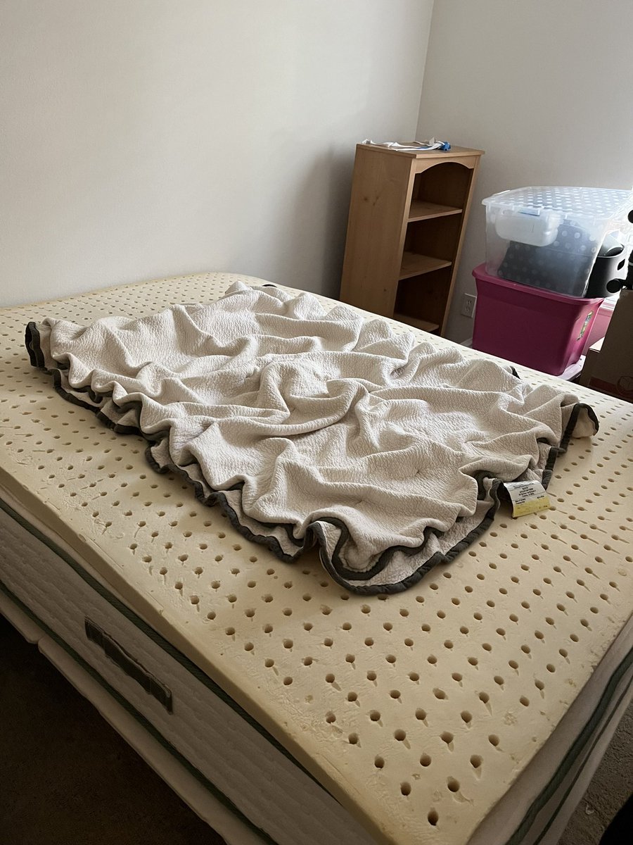 Manolo 🍉💚 tweet media