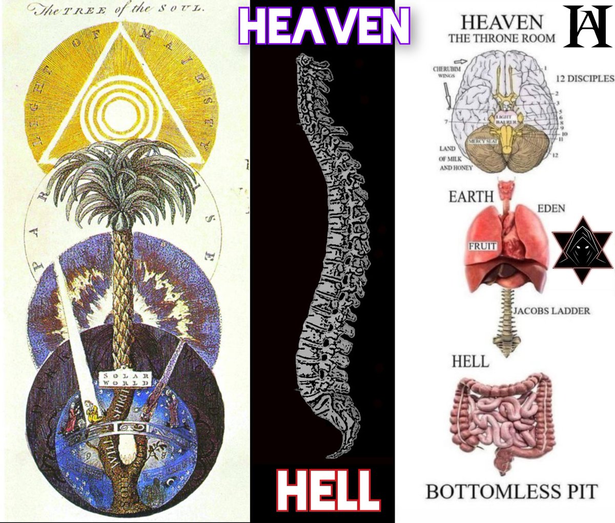 尼采寫道:“血液對精液的重新吸收是最強大的滋養,而且,或許比任何其他恩惠更能激發力量,激起所有力量克服阻力的躁動,激發對矛盾和反抗的渴望。”