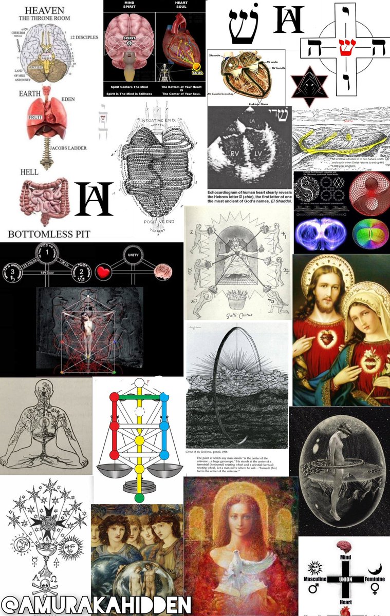 尼采寫道:“血液對精液的重新吸收是最強大的滋養,而且,或許比任何其他恩惠更能激發力量,激起所有力量克服阻力的躁動,激發對矛盾和反抗的渴望。”