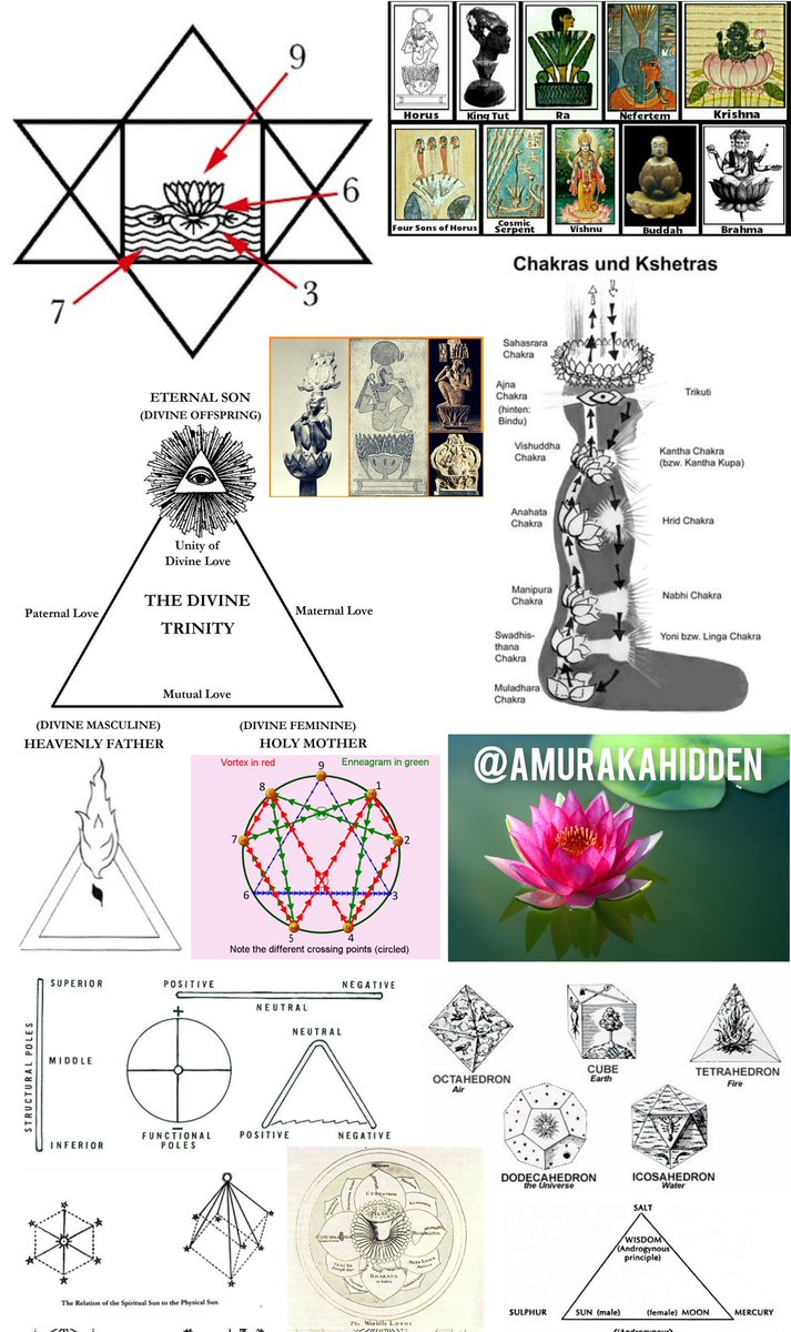 根據穆罕默德·阿里的傳記,他的教練曾說過他成功的秘訣在於性控制。許多運動員都明白控制精液和性慾的重要性。性是自然界最有效的療癒力量之一。
性能量就是昆達里尼能量,就是重力加速度。
