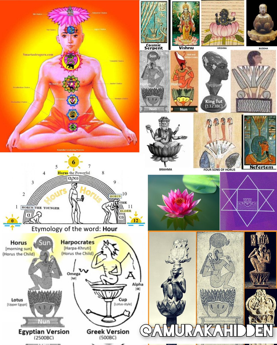 根據穆罕默德·阿里的傳記,他的教練曾說過他成功的秘訣在於性控制。許多運動員都明白控制精液和性慾的重要性。性是自然界最有效的療癒力量之一。
性能量就是昆達里尼能量,就是重力加速度。